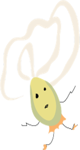콩미